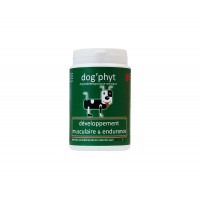 Développement musculaire & Endurance  (Prophyt Musclam)